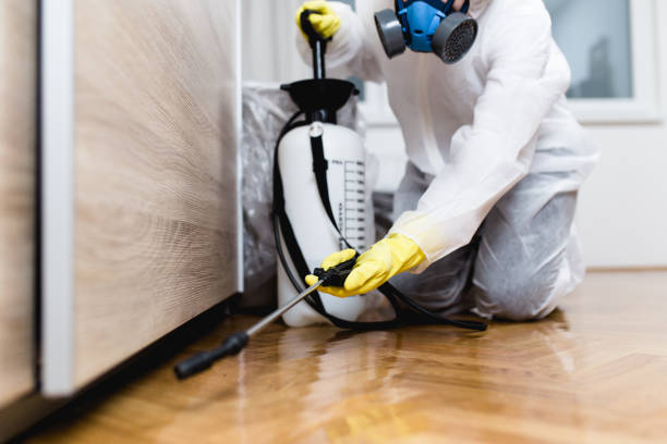 Best Bed Bug Extermination  in El Paso, IL
