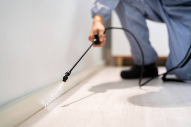 Best Emergency Pest Control  in El Paso, IL