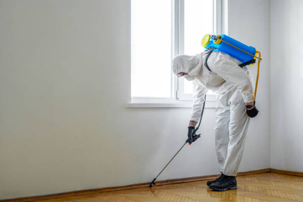 Reliable El Paso, IL Pest Control Solutions