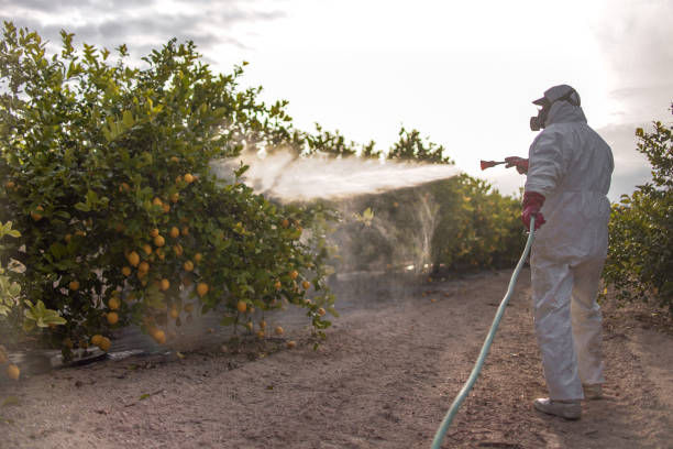 Best Pest Control Near Me  in El Paso, IL