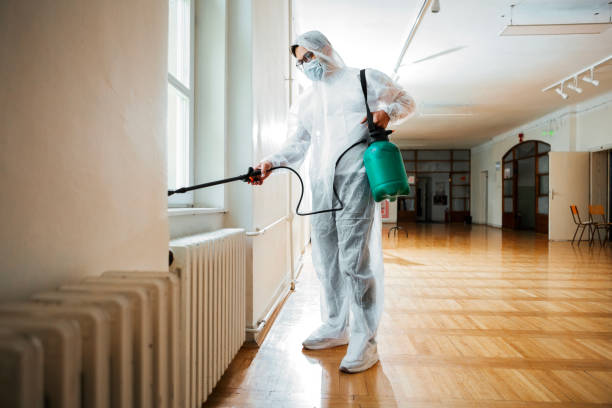 Best Affordable Pest Control Services  in El Paso, IL